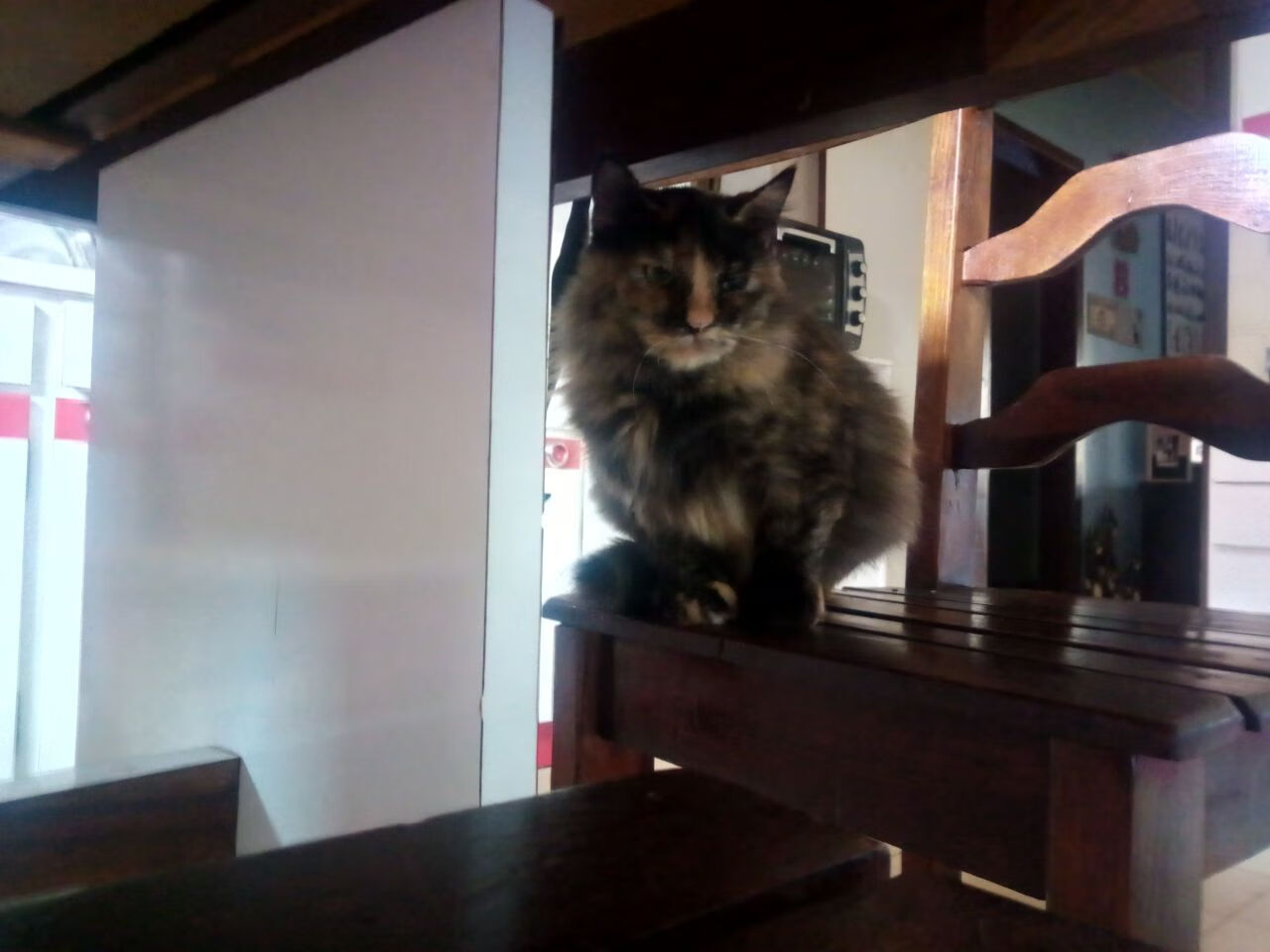 九游娱乐官网-2014年西部决赛第七场：勇士在客场对阵马刺，库里砍下25分，关键时刻投中决定胜负的三分，带队晋级。