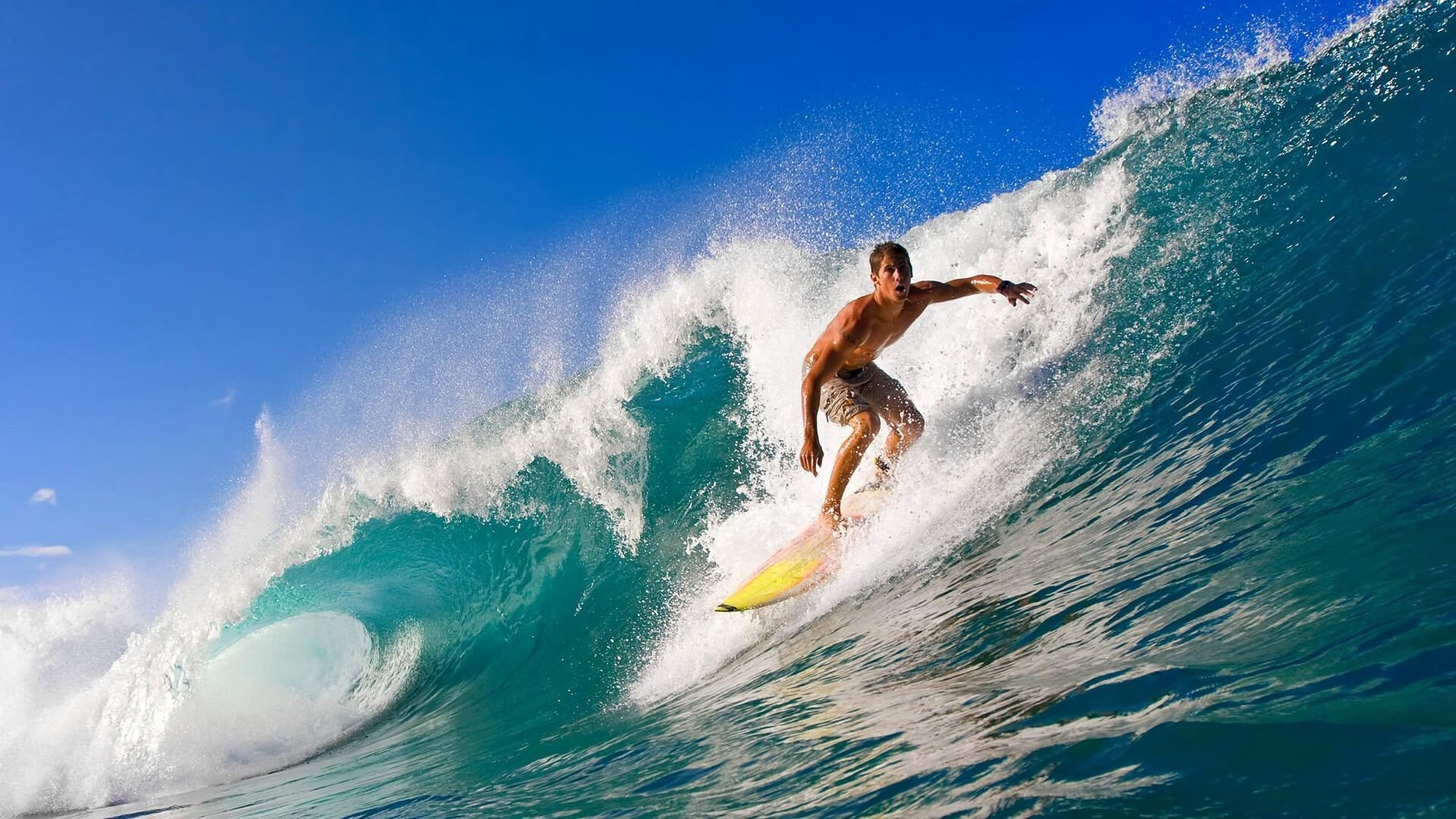 九游体育网页入口-世界杯崭新战术：细节决定成败，奇思妙想引领潮流，世界杯方面